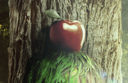 2015-OUTDOOR-000539-PIEZA