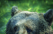 2020-OUTDOOR-001409-PIEZA