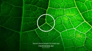 2022-OUTDOOR-001622-PIEZA