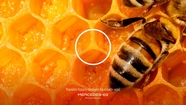 2022-OUTDOOR-001623-PIEZA
