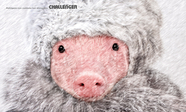 2014-PRESS-000442-PIEZA