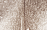 2014-NT-000730-PIEZA